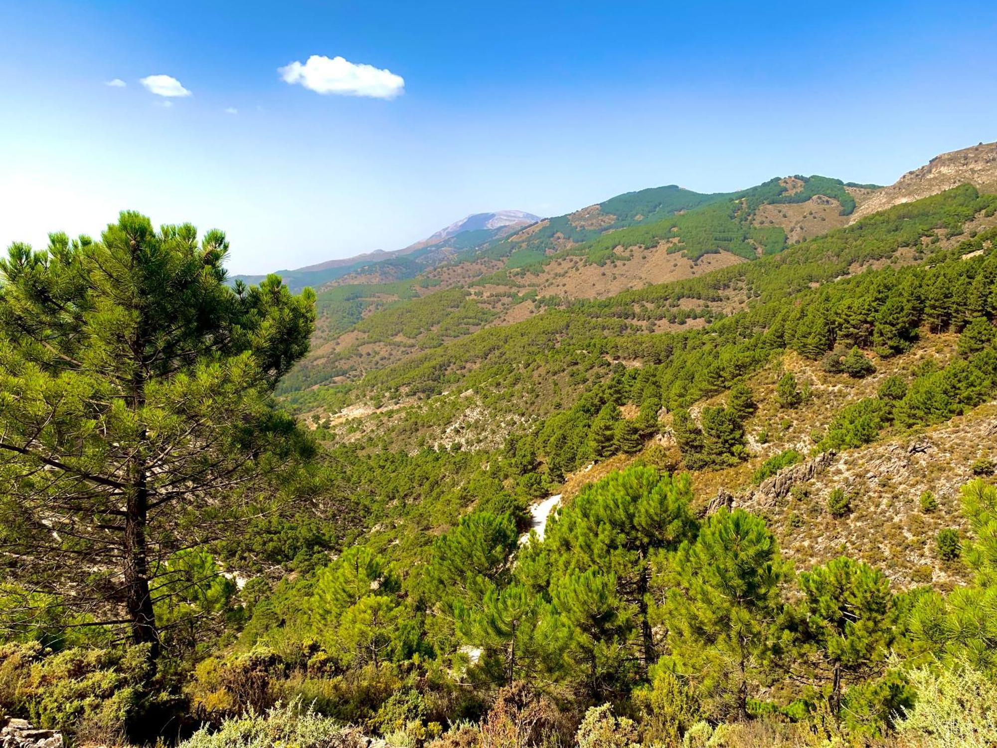 Finca El Almendro Màlaga Exteriér fotografie